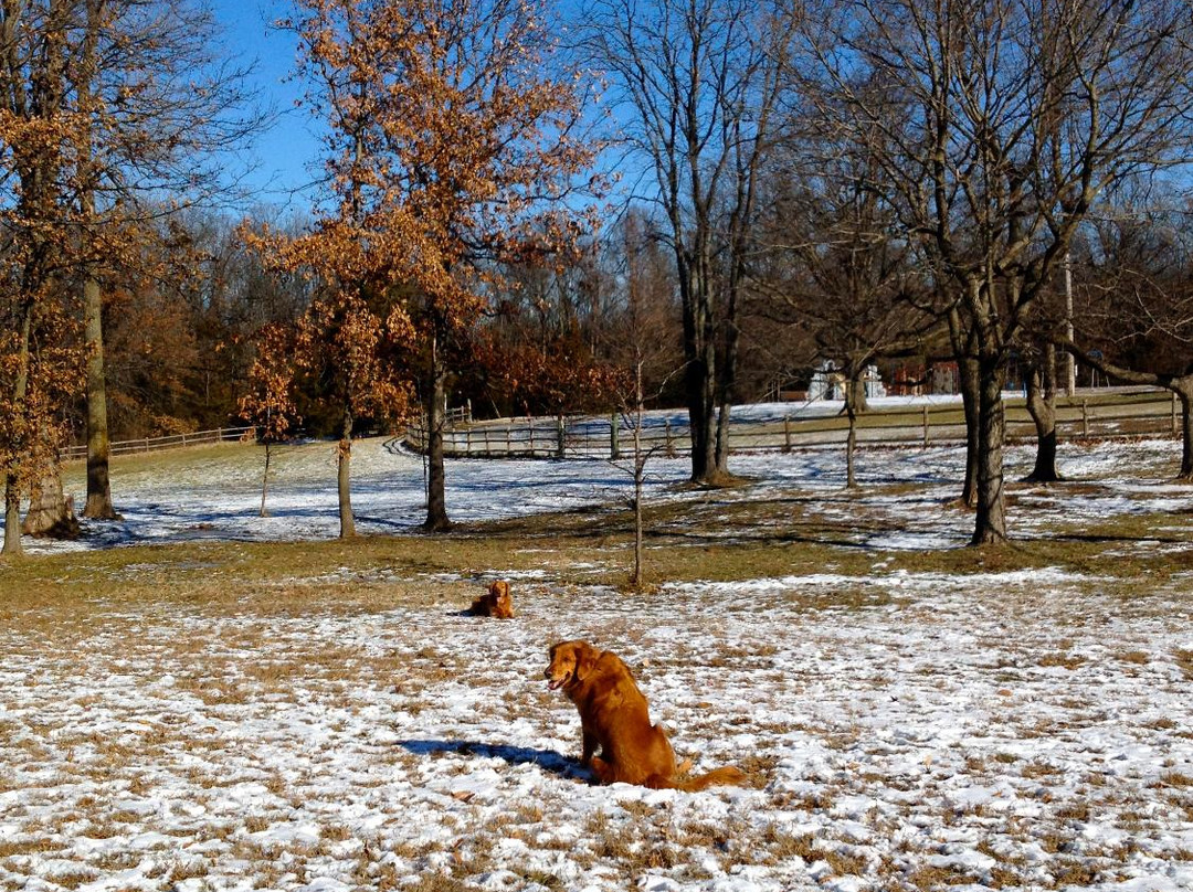 Indian Hills Park-哥伦比亚市必去景点