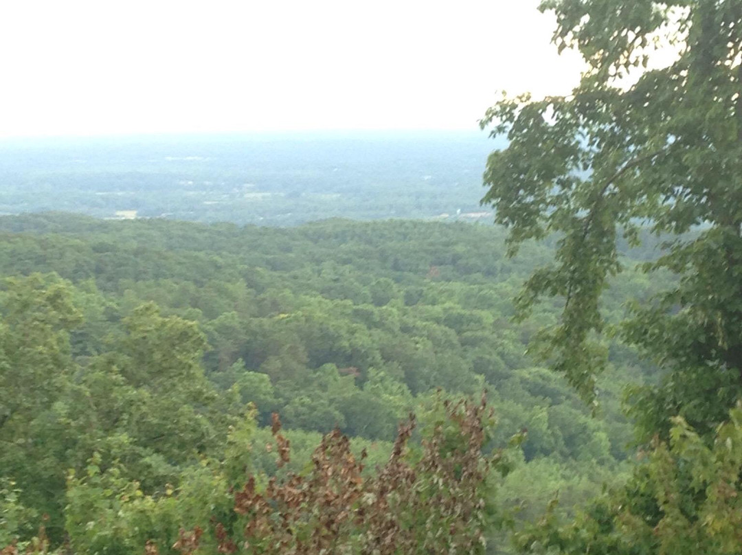 Fort Mountain Stables