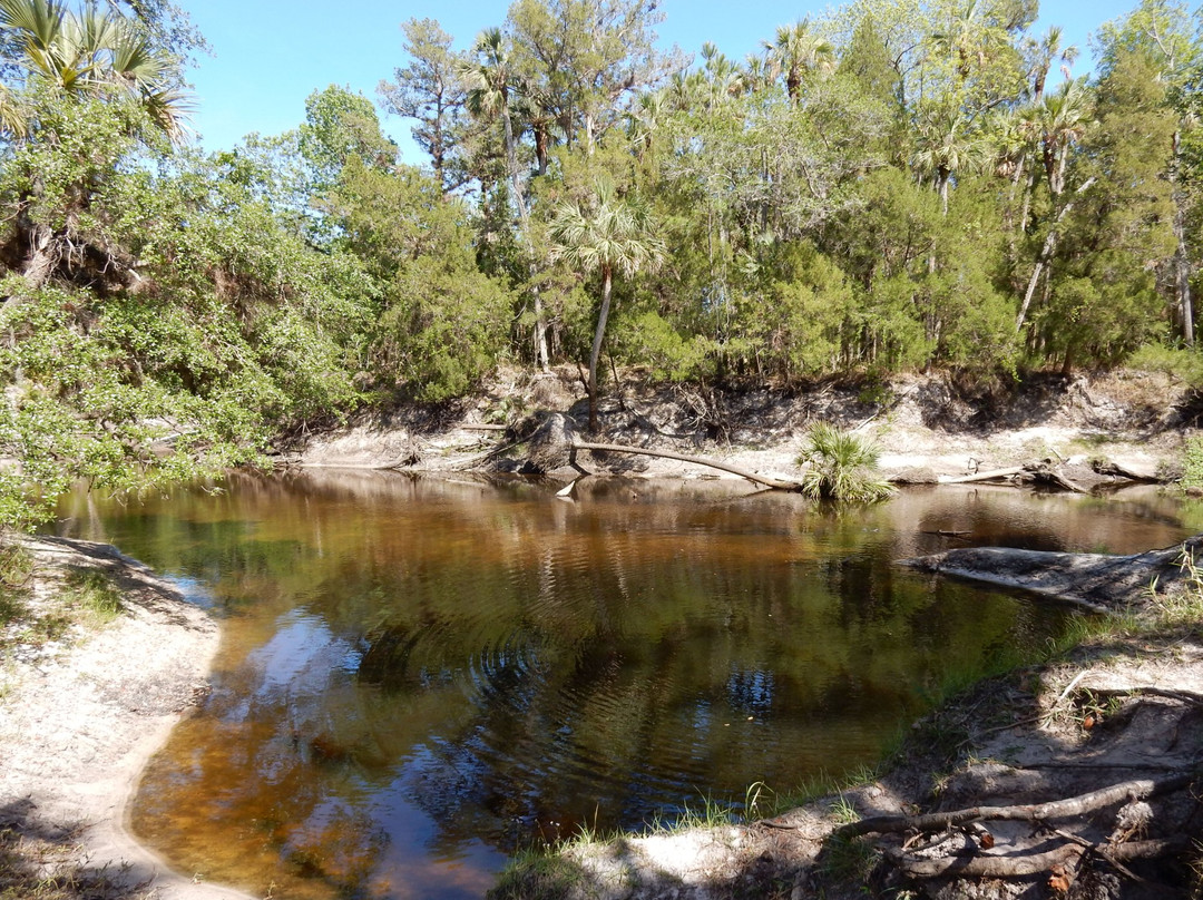 Geneva旅游景点-Little Big Econ State Forest