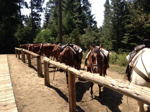 Shaver Stable-Shaver Lake必去景点