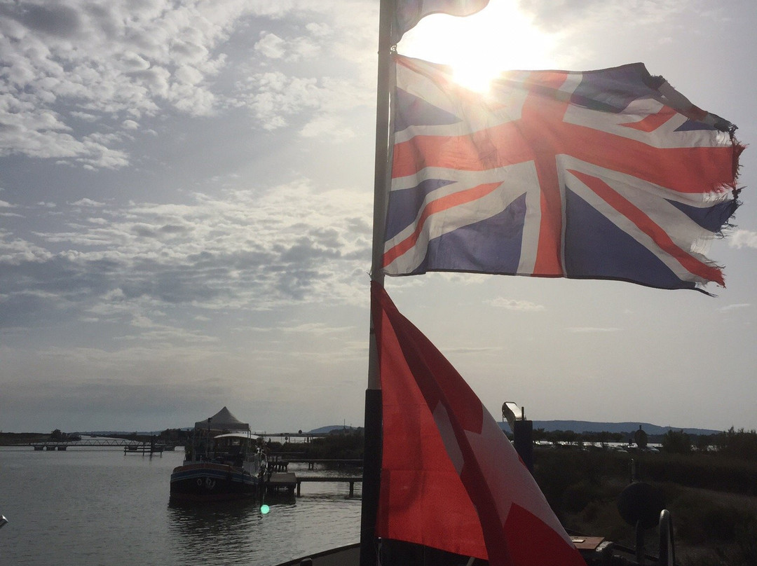 Alphonsia Maria主图