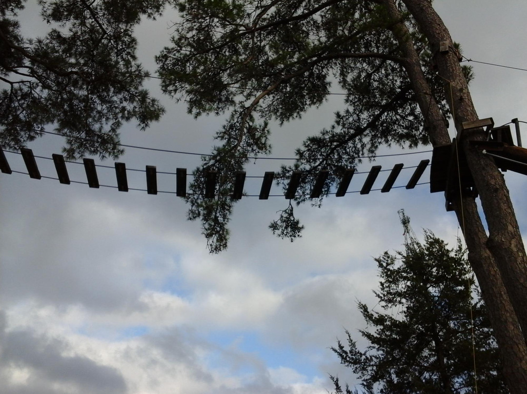 Thomas Falls Zipline Challenge Course-Diana必去景点