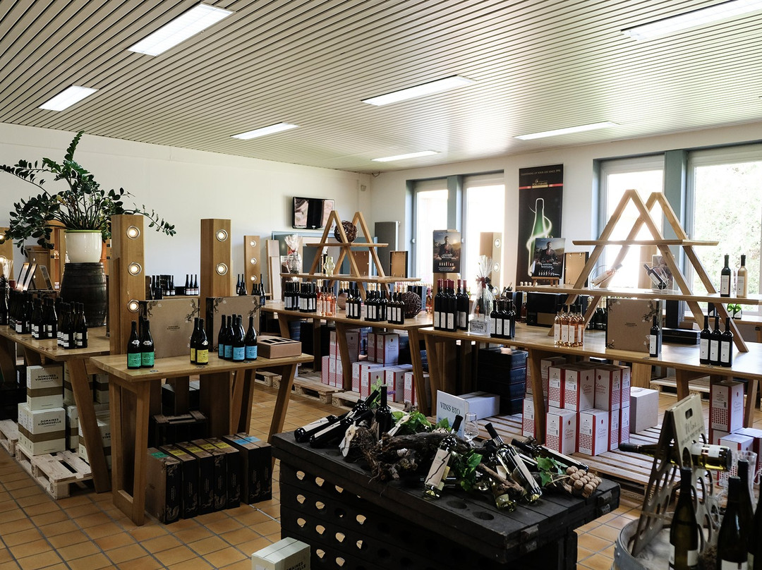 Domaines Vinsmoselle - Caves des Vignerons Wellenstein-Schengen必去景点