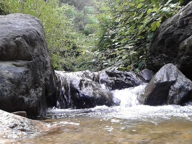Reserva Natural Vaquerias景点图片
