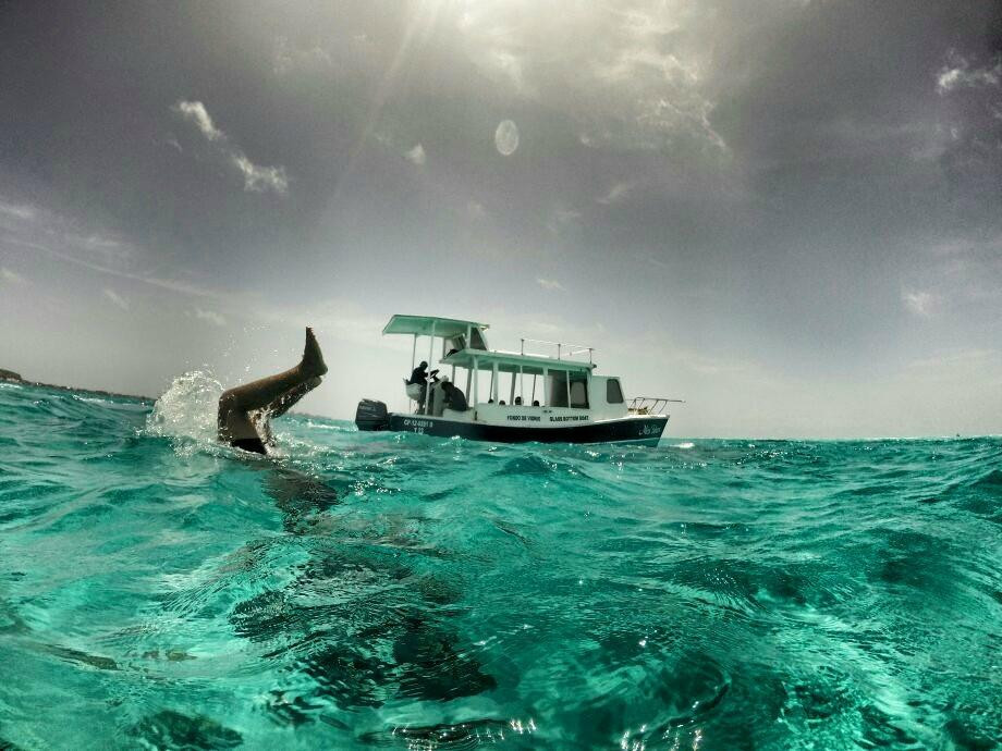 San Andres Unlimited (Miss Behave Glass Bottom Boats)景点图片