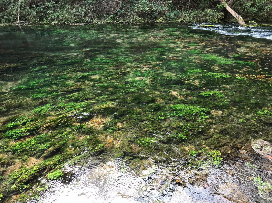 Hawkins House B & B主图