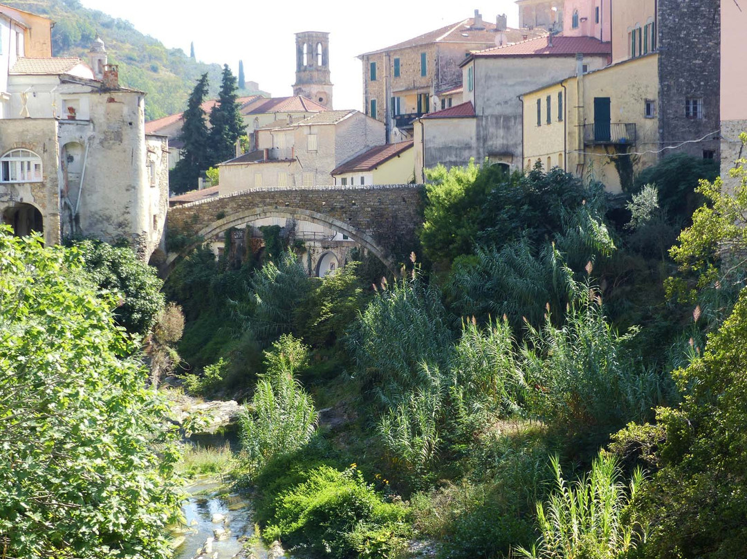 Ponte dei Cavalieri di Malta景点图片