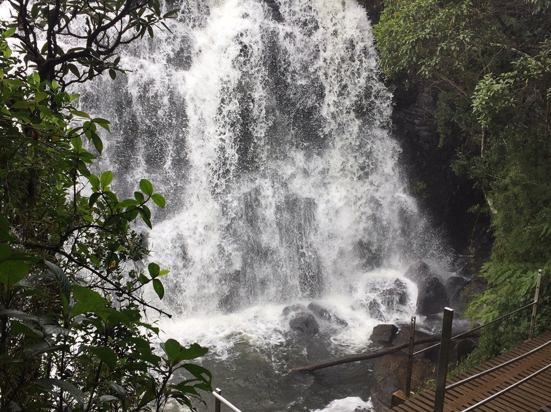 N2 Travels-加勒必去景点