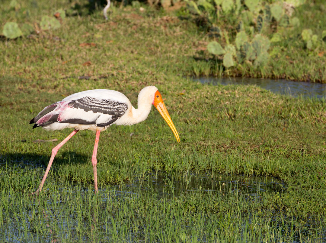 Lagoon Inn & Restaurant主图
