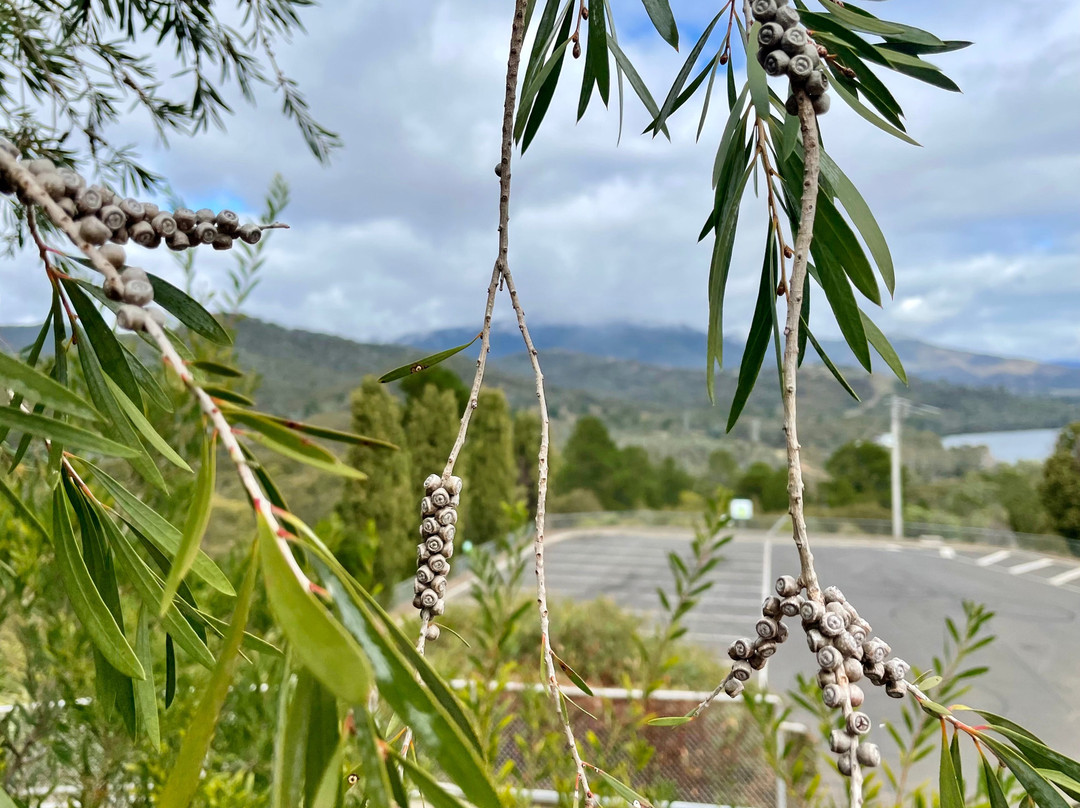 Eildon Spillway Lookout