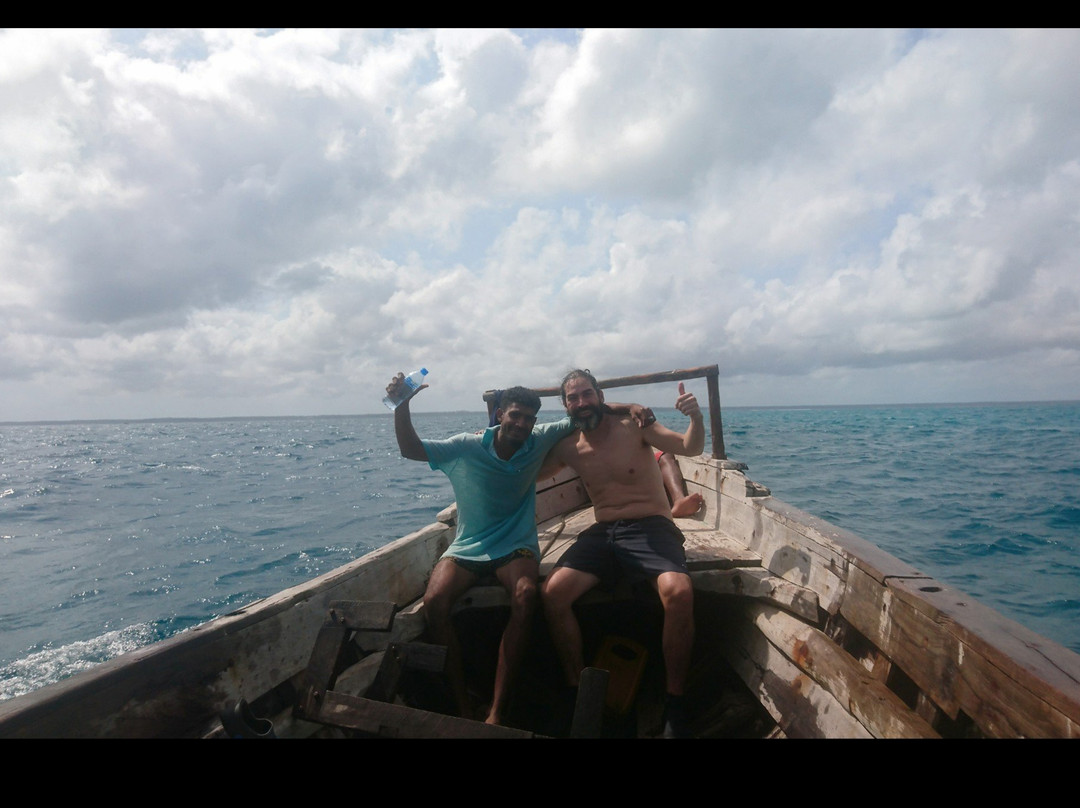 South Mafia Island Whale Shark Safari景点图片