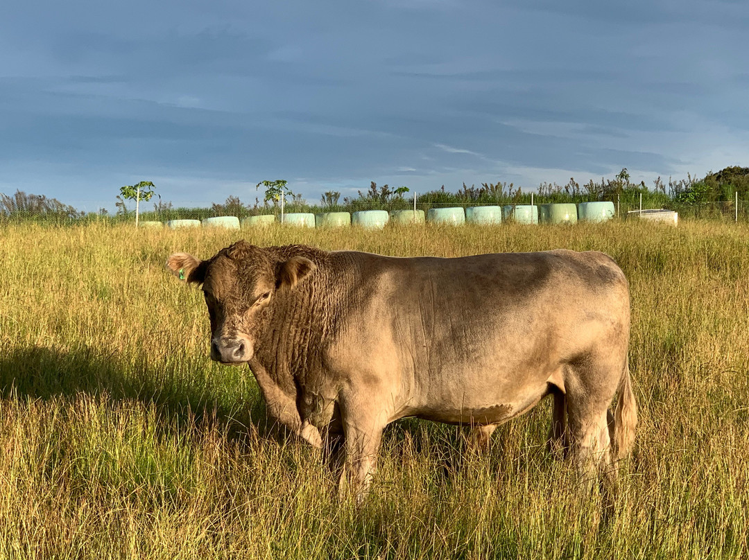 Gloucester River Wines