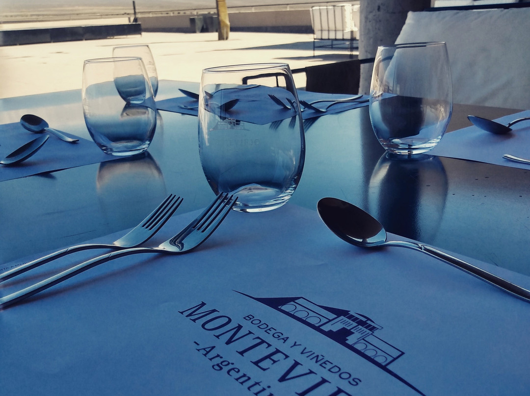 Bodega Monteviejo景点图片