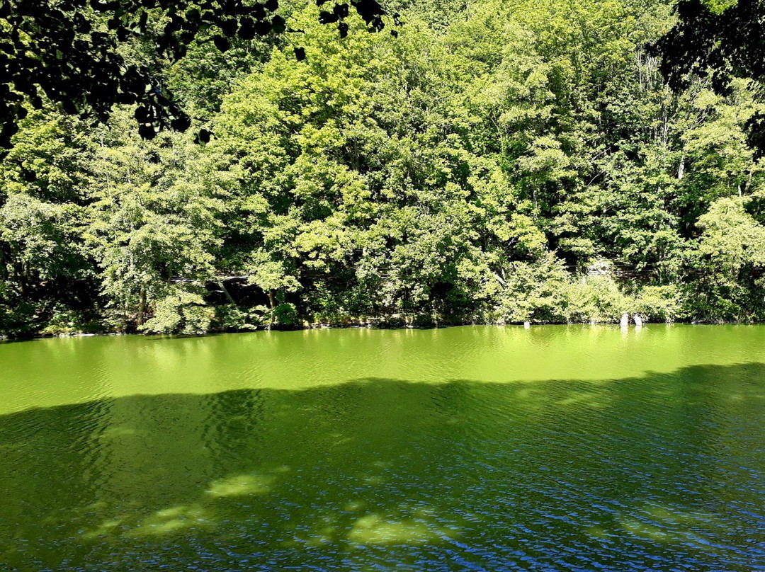 Bratislava Forest Park-布拉迪斯拉发必去景点