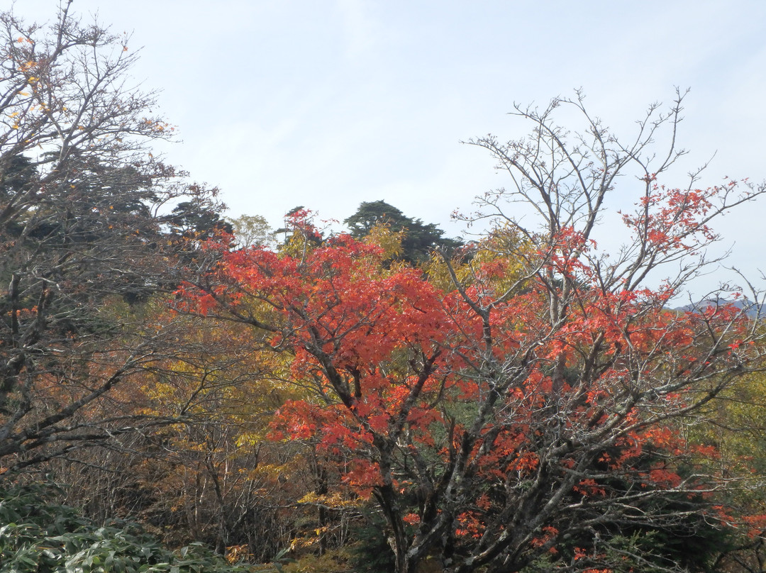 Mt. Tsurugi景点图片