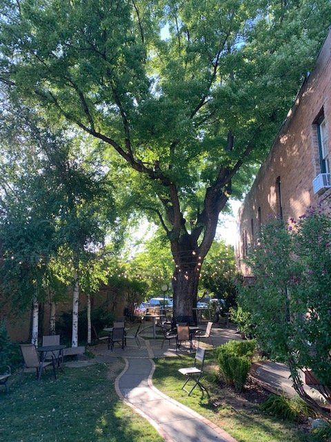 The Rochester Hotel主图