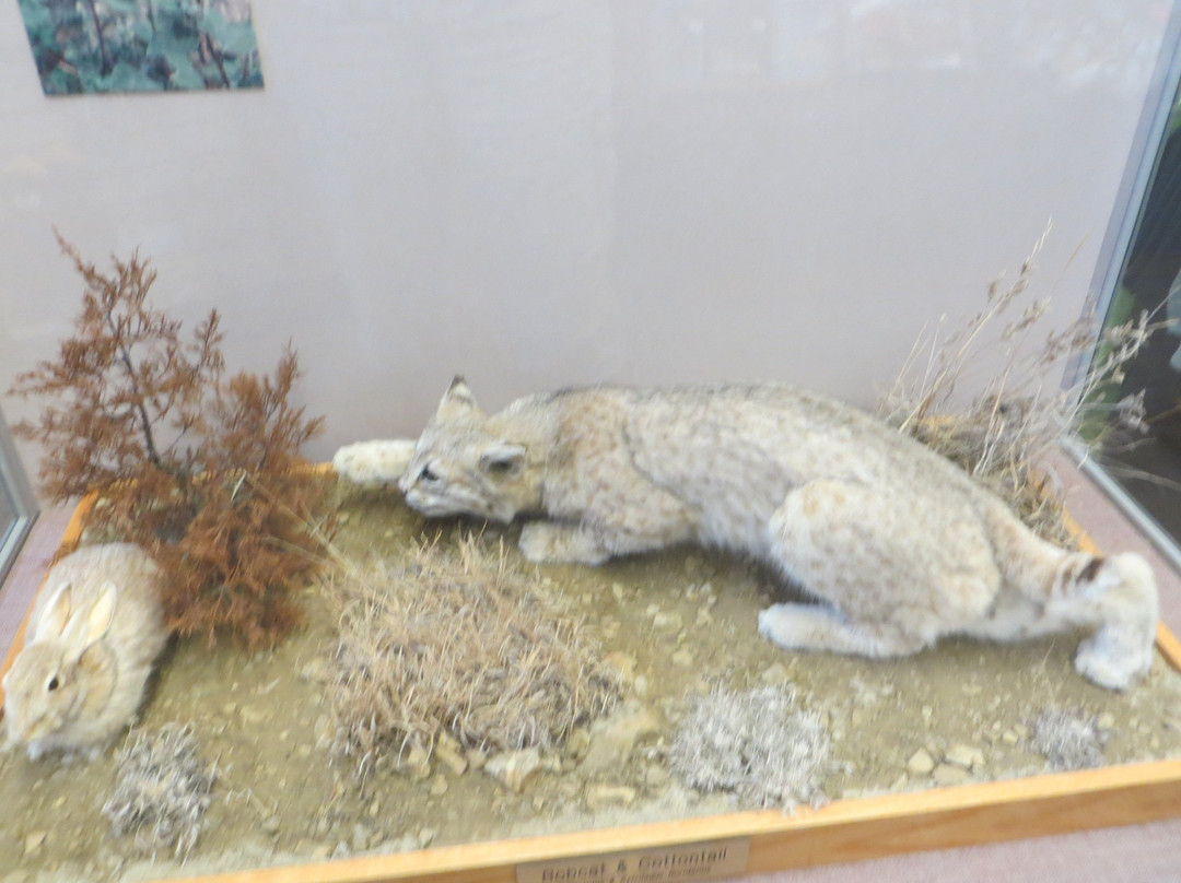 National Grasslands Visitor Center景点图片