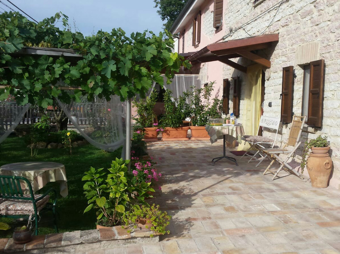 B&B Il Poggetto主图