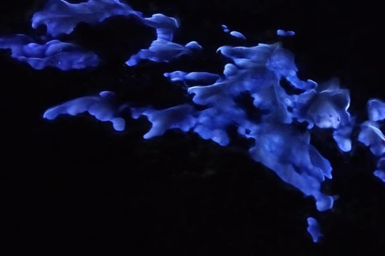 Information Center Pemuteran-佩母德兰必去景点