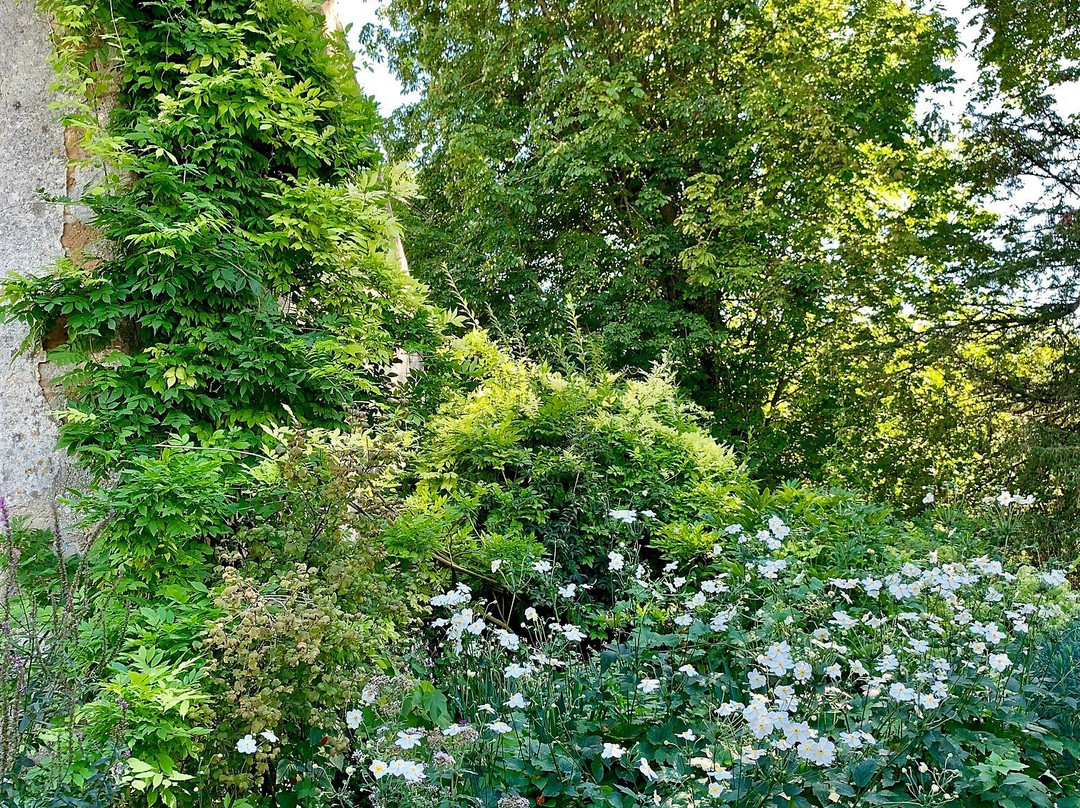 Prieuré et Jardin de Laverré景点图片