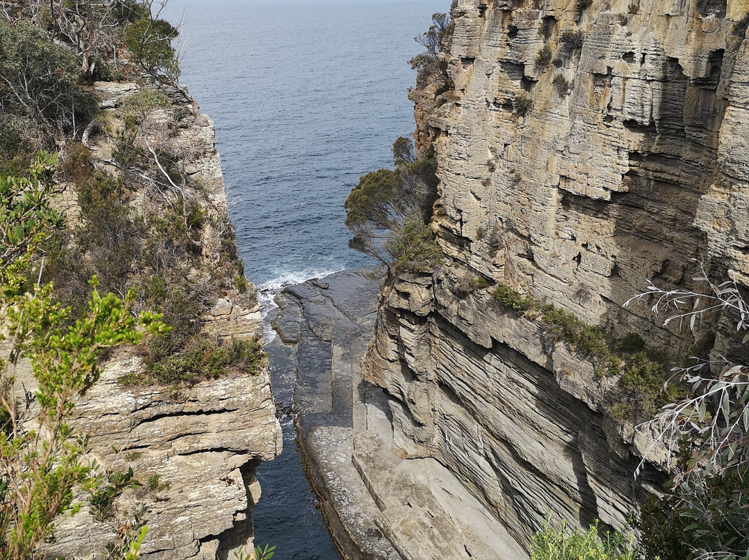 Pirates Bay/Eaglehawk Neck景点图片