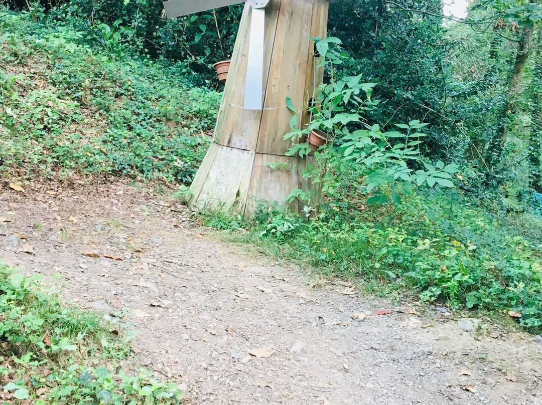 La Forêt aux Lapins景点图片