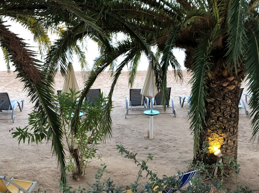 Hôtel Maeva U Libecciu主图