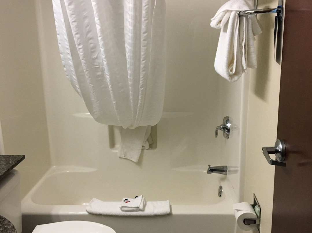 Microtel Inn & Suites by Wyndham Geneva主图