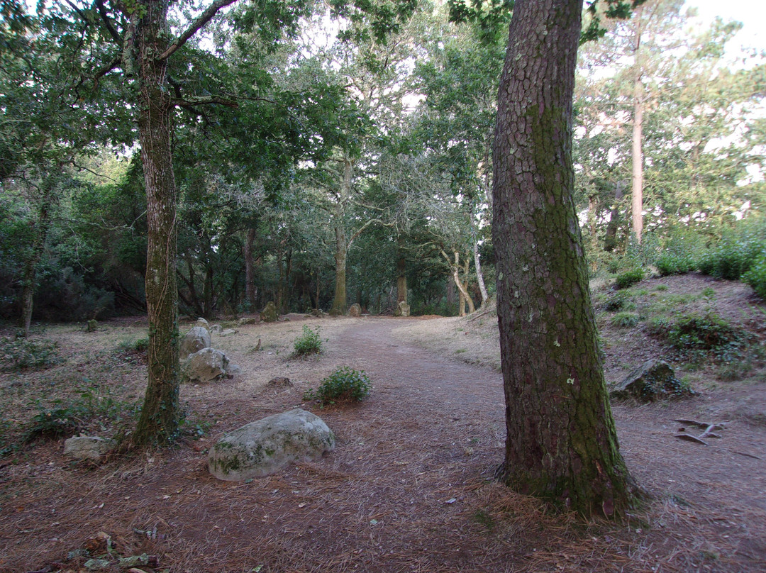 Dolmen de Kercado-卡纳克必去景点