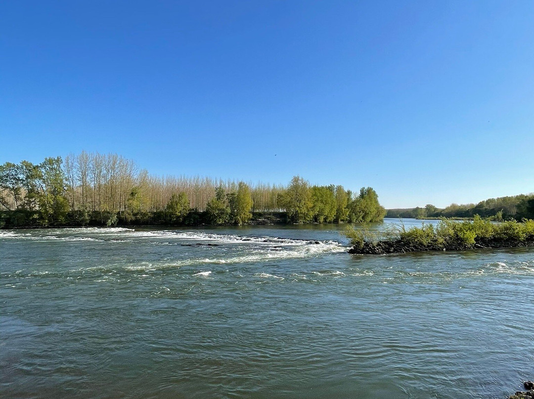 Les Roches De Reculay-Tonneins必去景点