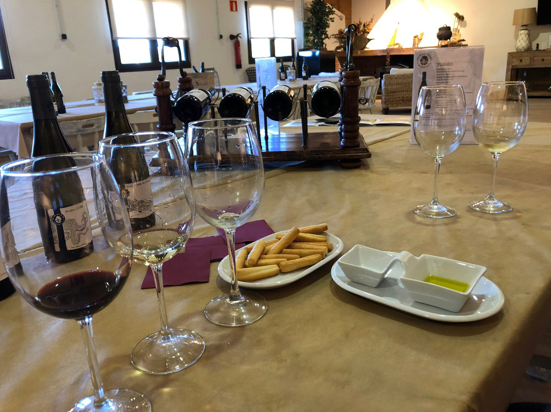 Bodegas Miradorio景点图片