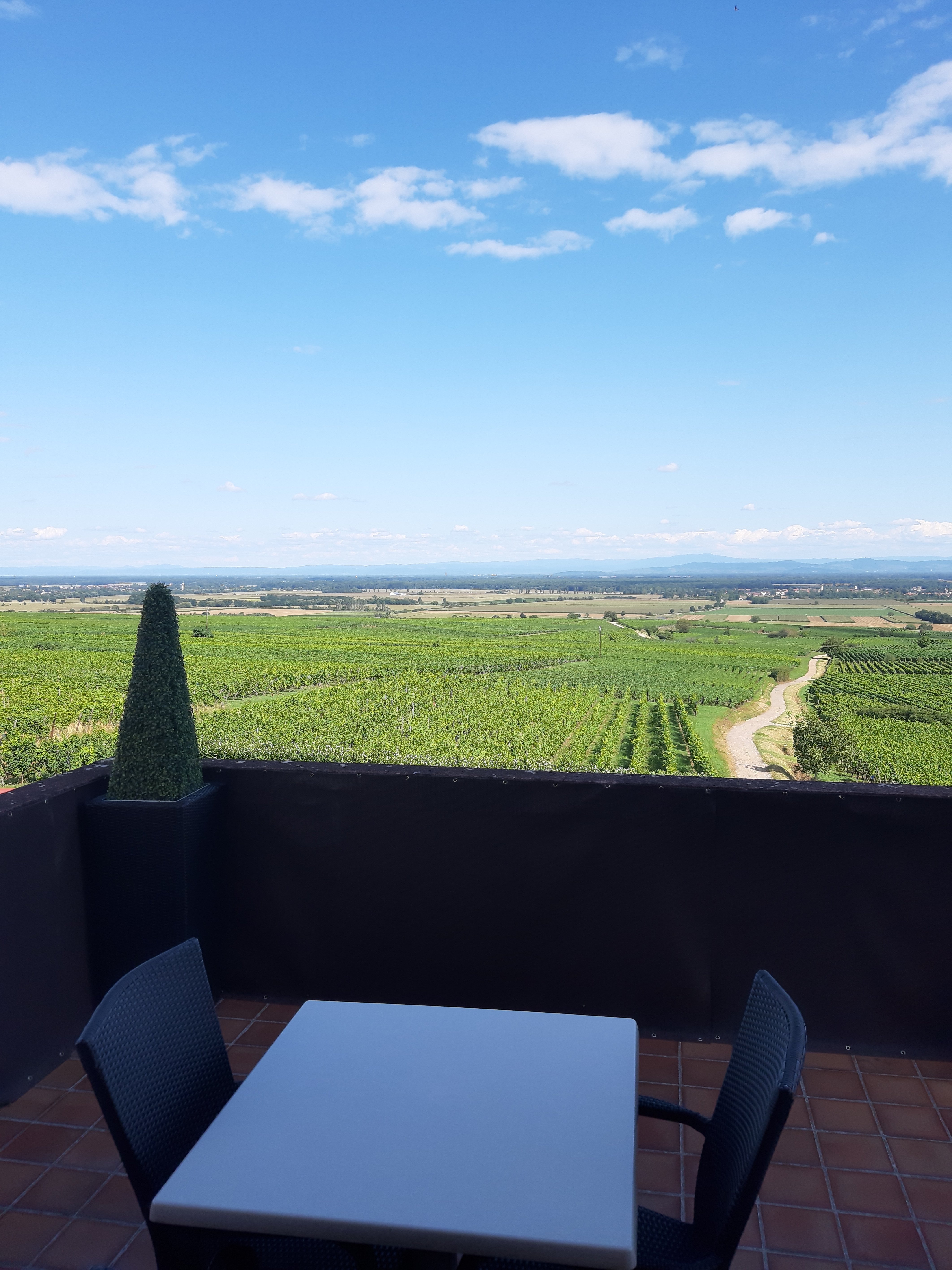 奥雷斯林酒店-portrait