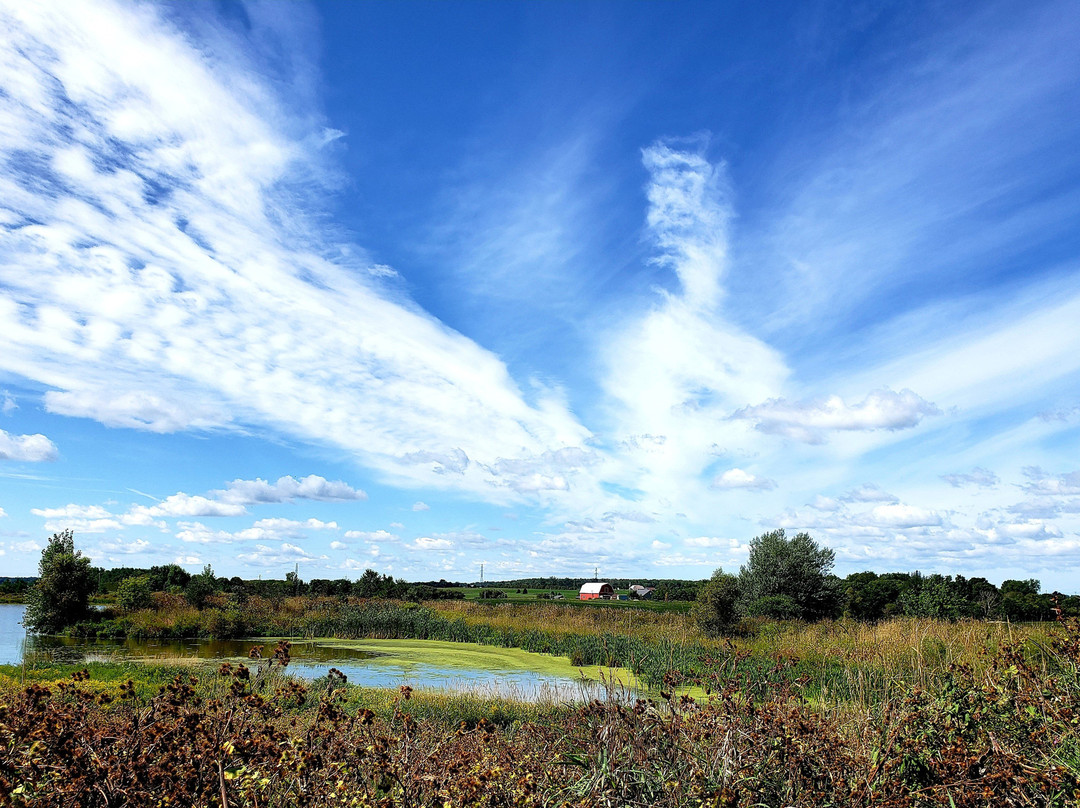 West Perth Wetlands景点图片