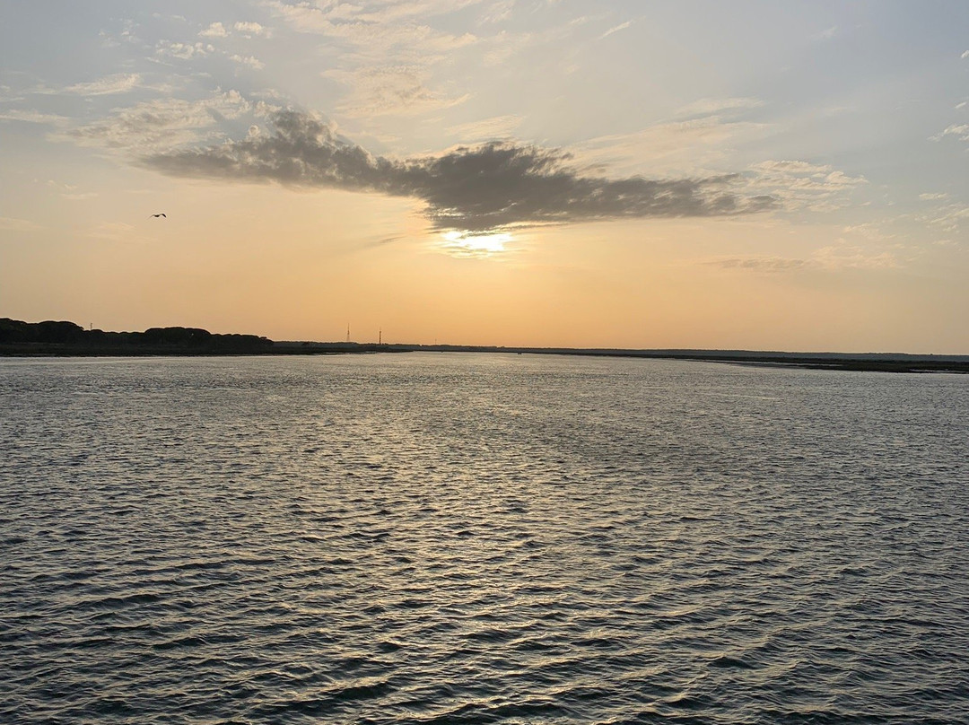 Canoa a Punta Umbria景点图片