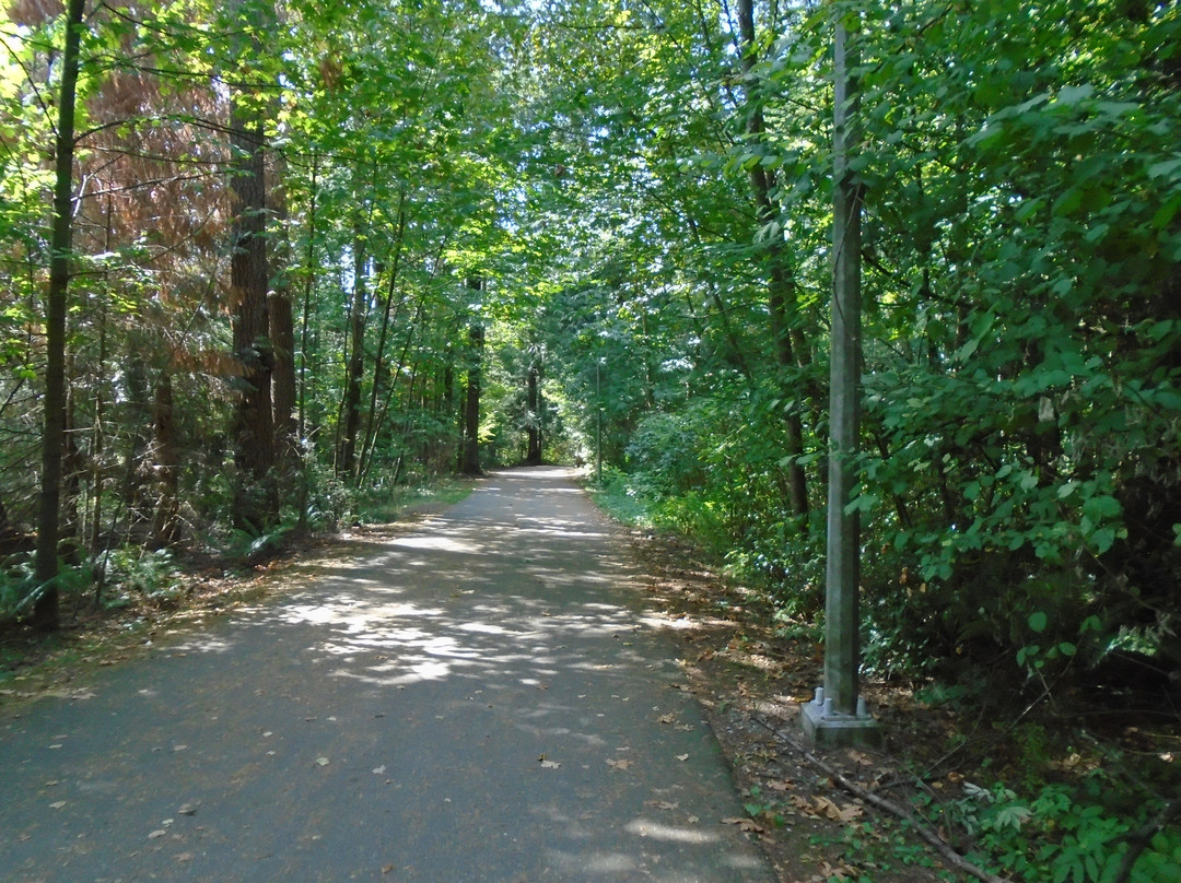 Byrne Creek Ravine Park-本那比必去景点