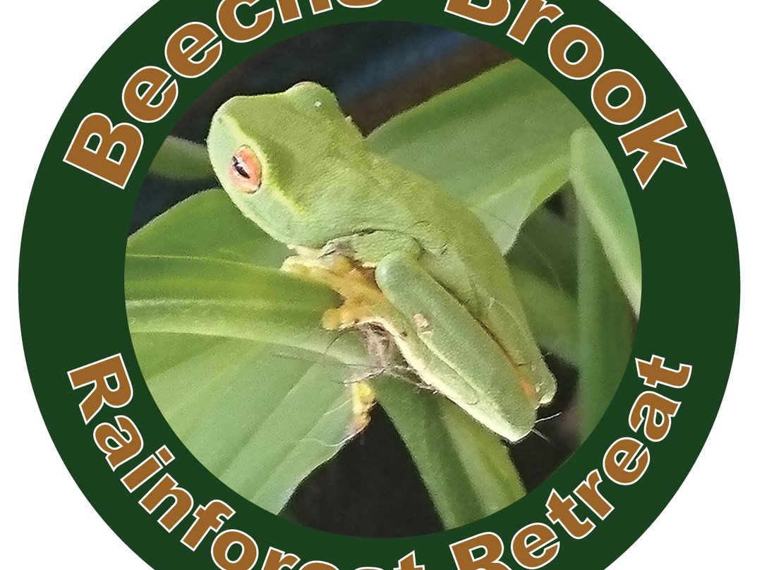 Beechs’ Brook Rain Forest Retreat主图