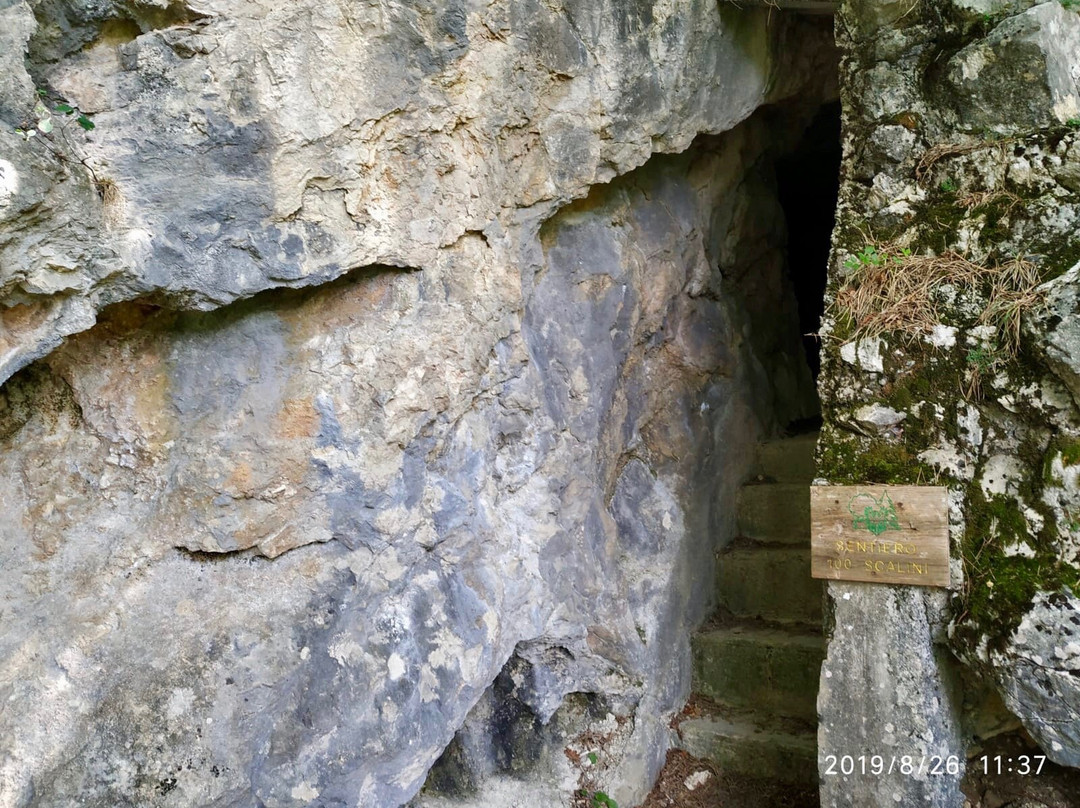 B&B White Rose主图