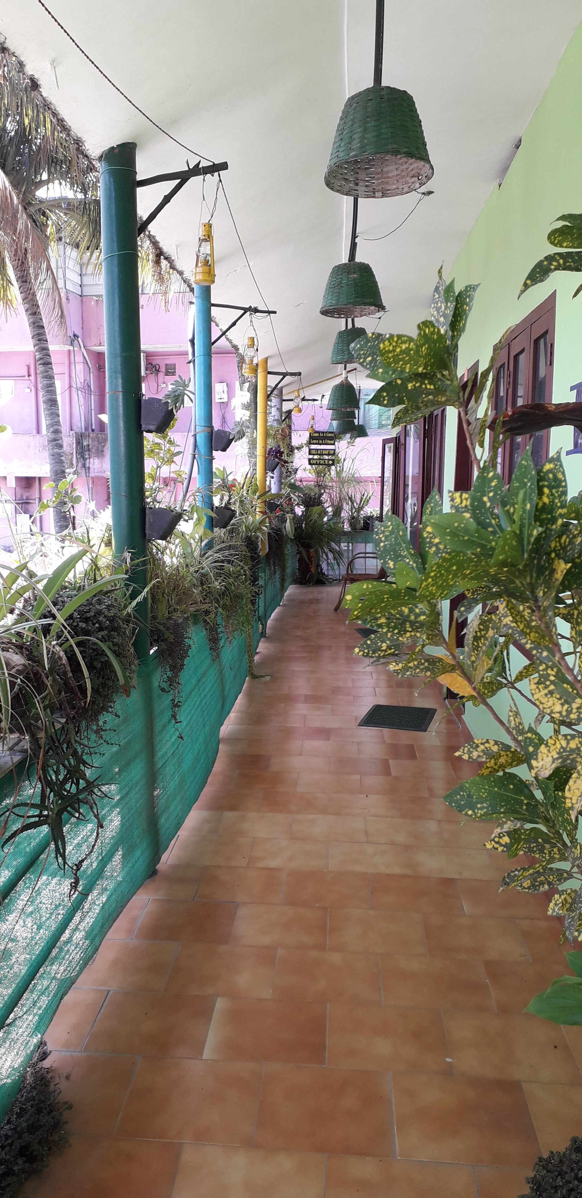 Mountain View Homestay-官方