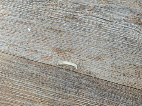 堪萨斯城雷內克萨拉昆塔温德姆酒店主图