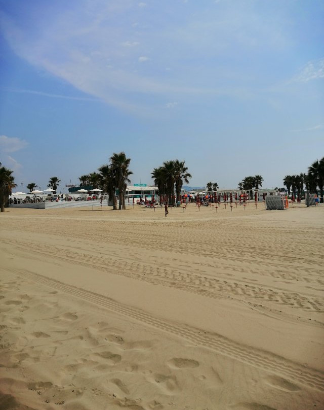 Lido Del Sole景点图片