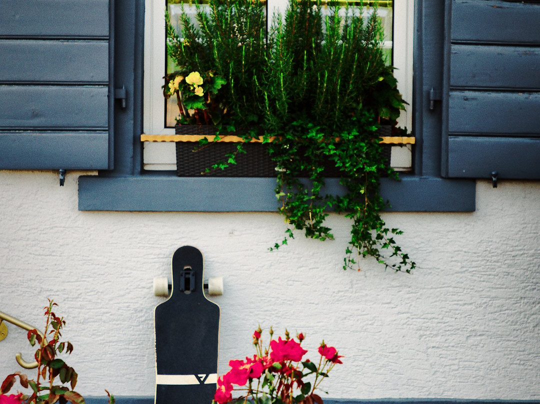 Hotel Landgasthof Adler主图