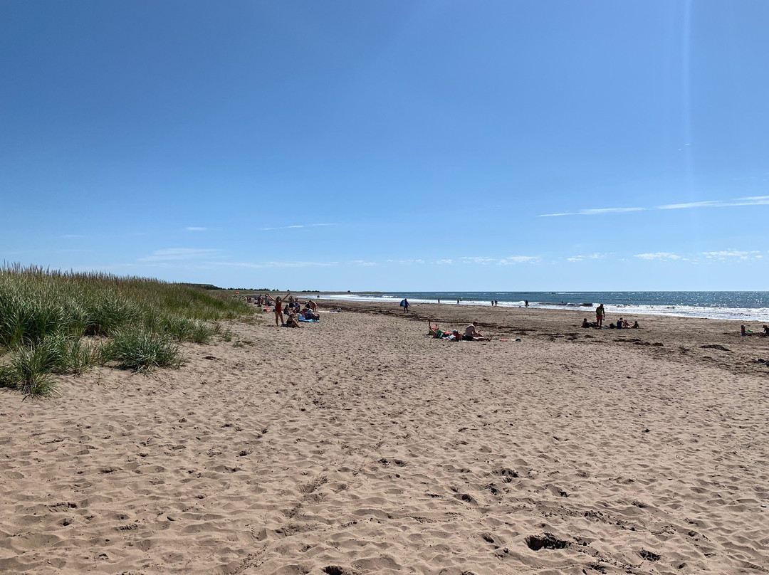 Conrad's Beach-Lawrencetown必去景点