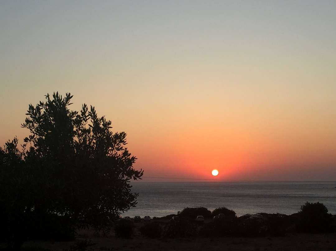 Adam - Rooms for Rent主图