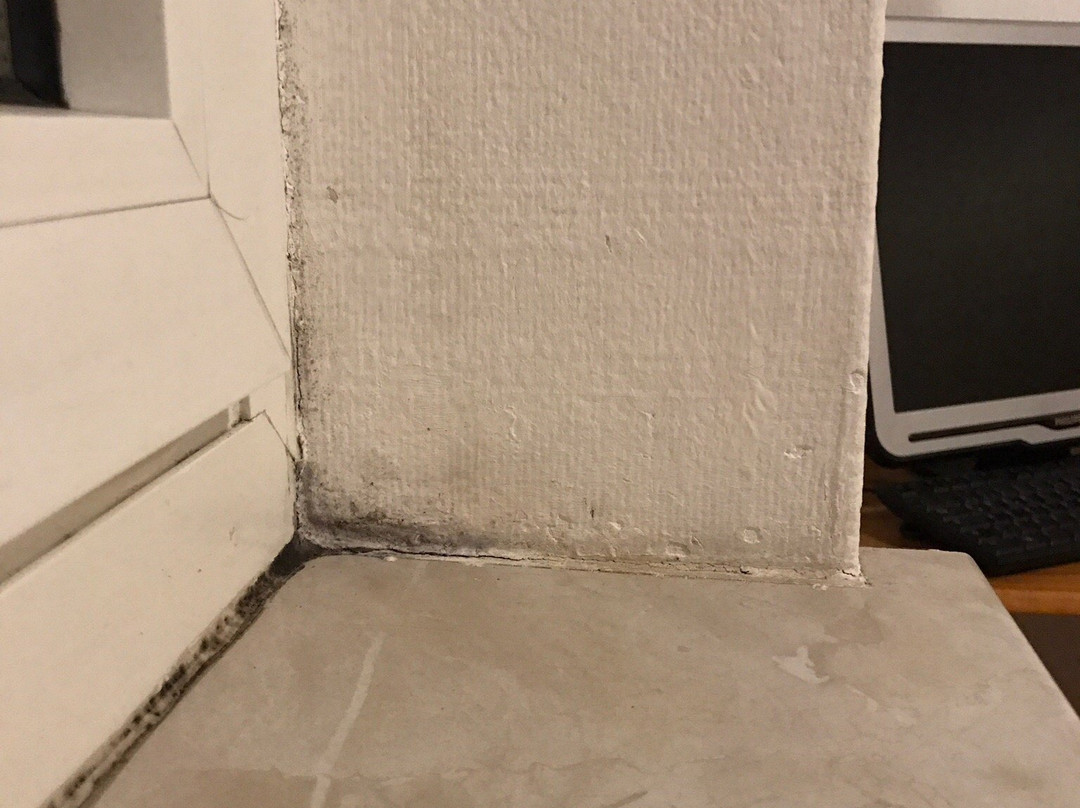 Weinbauer Pension Linz主图