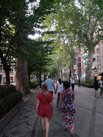 Tours by Locals-格拉纳达必去景点