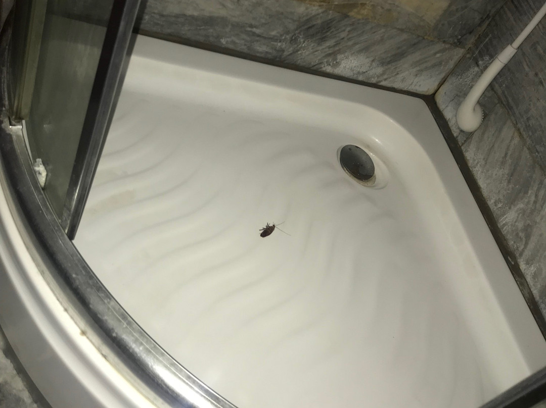 薄荷岛太阳之畔度假村主图