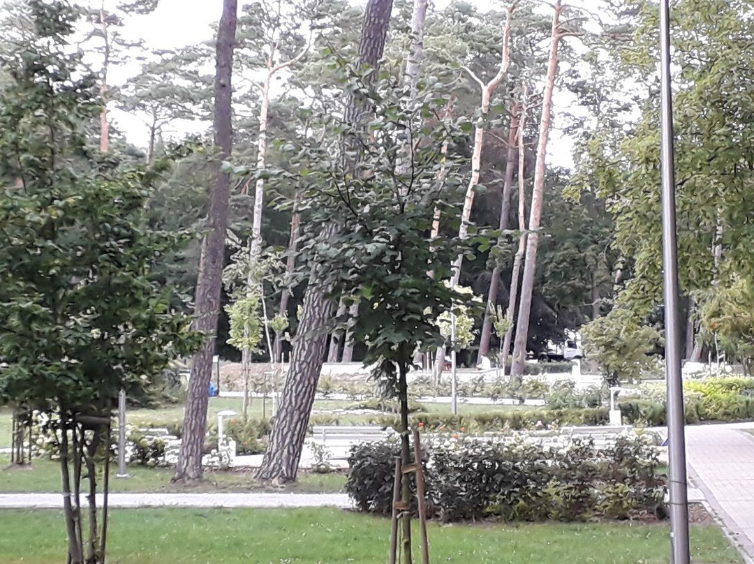 Promenada nadmorska