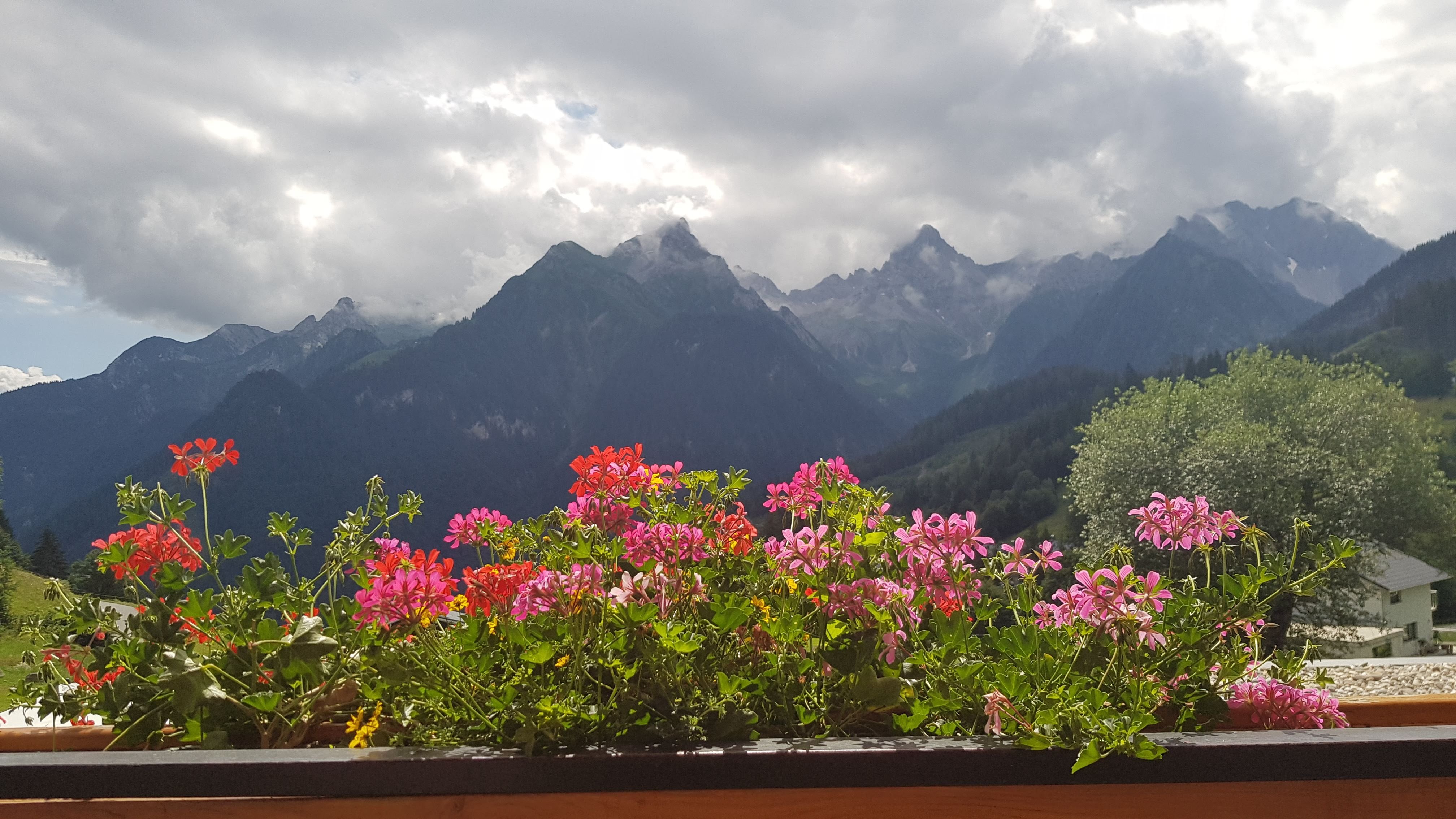 Hotel Restaurant Burtschahof-酒店景观