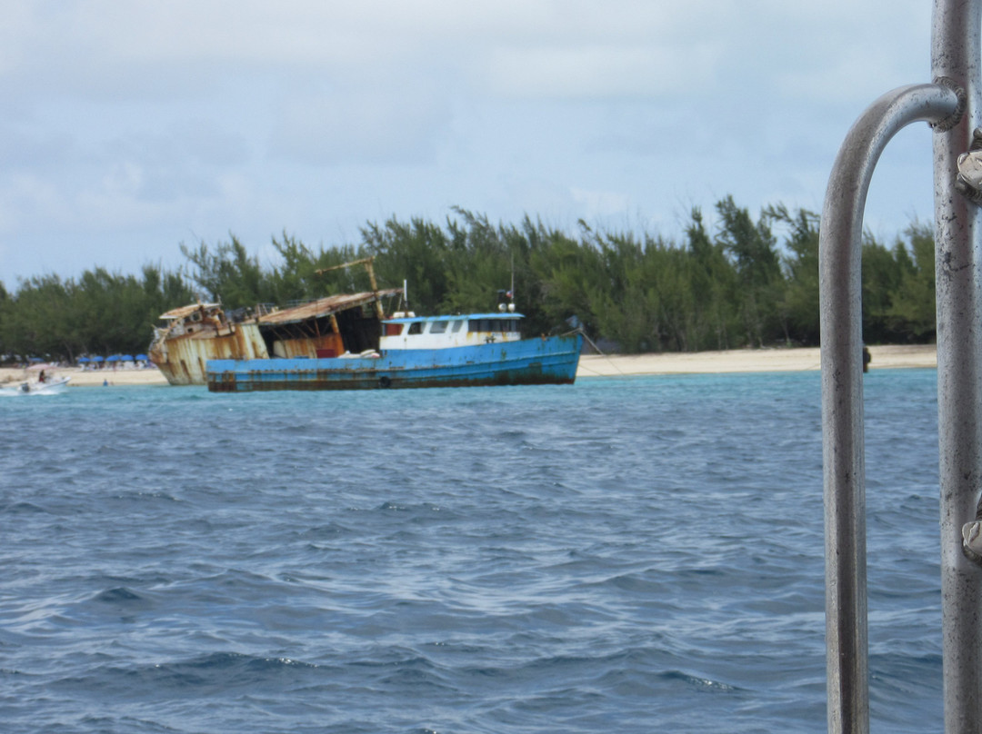 Ocean Vibes Scuba & Watersports-Grand Turk必去景点