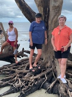 Driftwood Beach-吉柯岛必去景点